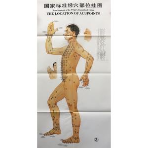 Quality 3pcs Meridian Acupuncture Chart ISO Acupuncture Culture wholesale