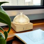 200 MLGlass Essential Oil Diffuser▕ DN-839