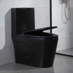 Siphonic One Piece Elongated Dual Flush Toilet Skirted Trapway 300mm Rough In