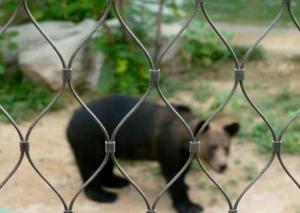 Quality Stainless Steel Cable Zoo Wire Mesh Netting wholesale