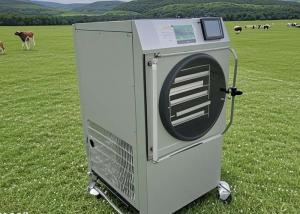 Quality Home Lyophilization Freeze Dryer Food Preservation With Vacuum Pump wholesale