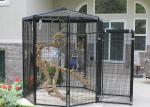 8' Dia Outdoor Parrot Aviary Wire Mesh Galvanized / Powder Coating Surface