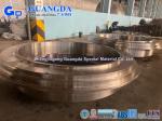 Alloy Steel Forging Forged Flanges Professional Steel Forging Factory From China