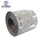 Printed Wood Grain PPGI Steel Coil With Floral Patterns