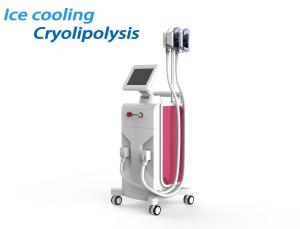 Quality Cool Tech Cryolipolysis Fat Freezing Machine Painless Fat Freeze For Weight Loss wholesale