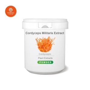 Quality High Quality Cordyceps CS-4 / Cordyceps Militaris Extract / Cordyceps Sinensis Extract Powder wholesale