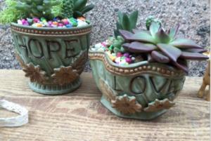 Quality Succulent Creative English Word Plant Flowerpots wholesale