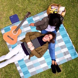 Quality Waterproof Sand Free Picnic Outdoor Picnic Blanket wholesale