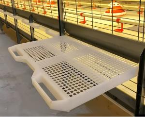Quality Anti Rust Broiler Pan Feeding System Automatic Plastic Slat Floor For Poultry wholesale