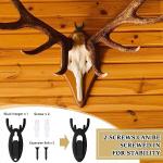 Standard European Mount Antler Style Steel Wall Mount Bracket for Deer Antler