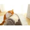 Buy cheap Interactive Corrugated Cat Scratch Board Burlywood Modern Pet Furniture Cat from wholesalers