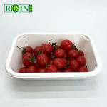PP Corn Starch Disposable Fresh Meat Chicken Fruit Vegetable Container Plastic
