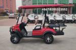 Max Speed 40km/H Golf Cart 4 Passenger All Terrain OEM Sale Price With 12 Inch