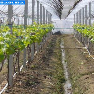 Quality Small Greenhouse Irrigation System / Greenhouse Auto Watering System wholesale