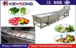 Rooted Plant Fruit And Vegetable Processing Machinery Washing Equipment Large