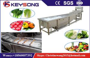 Quality Rooted Plant Fruit And Vegetable Processing Machinery Washing Equipment Large Capacity wholesale