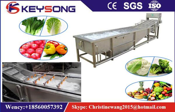 Rooted Plant Fruit And Vegetable Processing Machinery Washing Equipment Large