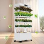 Veggiefloe Hydroponic System – Fresh, Healthy, and Sustainable Home-Grown