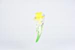 Non-Toxic Solution Professional Catch Insects Fly Bag for Pest Control
