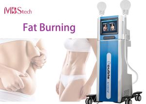 Quality Electric Fat Burning Muscle Build EMS EMShapeing Machine wholesale