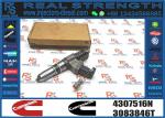 Fuel Injector 4307516N 3411767T 3407776 3087807 341176