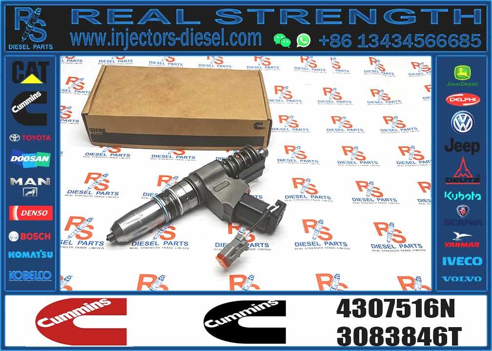 Fuel Injector 4307516N 3411767T 3407776 3087807 341176