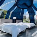 Star Room Transparent Tents For Outdoor Camping Bar Villa Hotel Bubble Room
