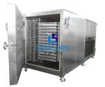 Vegetable Fruit Vacuum Freeze Drying Machine Excellent Temperature Control