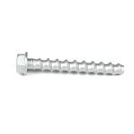 Customizable SS304 Hex Head Stainless Steel Concrete Bolt Anchor M10 for