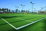 International Class Curving Yarn Form Synthetic Green Carpet for Indoor and