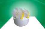 Eye Catching Cardboard Countertop Displays With Special Design