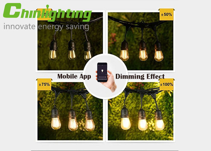 Mobile App S14 Decorative Dimmable Smart Lights