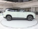 520km SUV Ev Car