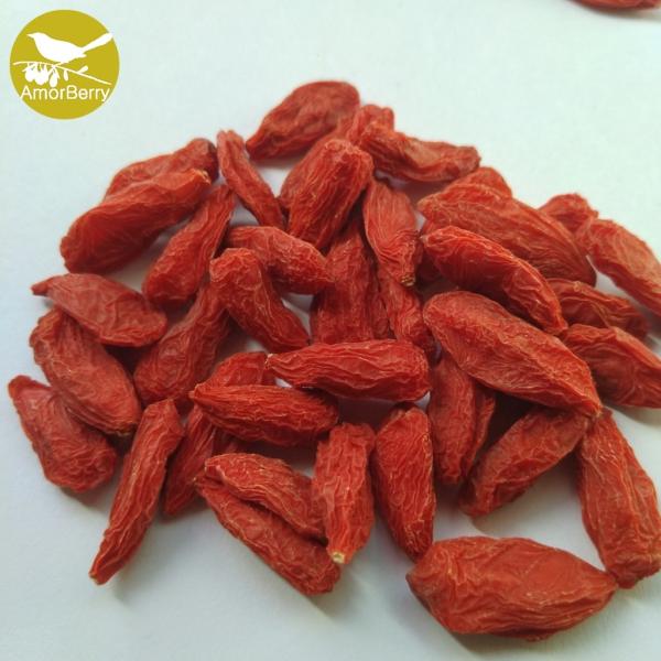 BCS certificated Goji Berries Organic EU Standard Goji Berries Gochi Ningxia