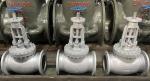 ASTM A216 WCB cast steel ANSI globe valve