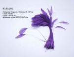 Dyed Pattern Party Decoration Stripped Rooster Coque Feather 12-14inch / 14
