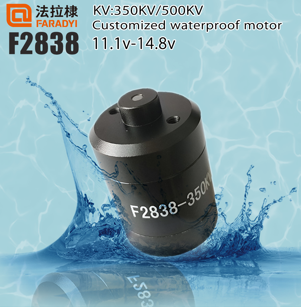 Faradyi 48V Bldc Motor Waterproof Underwater Motorized Aluminum Waterproof Pergolas Cantilever Waterproof Motor 12000W 72V