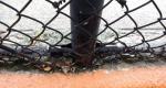 chain link wire mesh fence 50mm x 50mm hot dipped galvanized chain wire tension