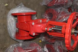 Quality (ANSI) Cast Iron Gate Valve Flanged Ends wholesale