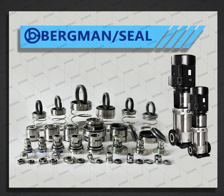 BERGMAN 58U 59U 24mm-80mm Lixin Dyeing Machine Pump Mechanical Seal