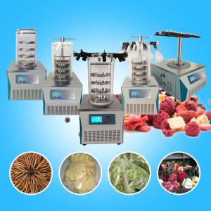 Quality Benchtop Lab Lyophilizer Stainless Steel Vacuum Lyophilization wholesale