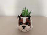 Succulent Plant Animal Pot with Dog Style