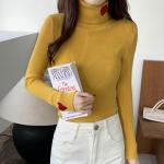 Autumn Winter Women Knit Sweater , High Neck Knit Sweater