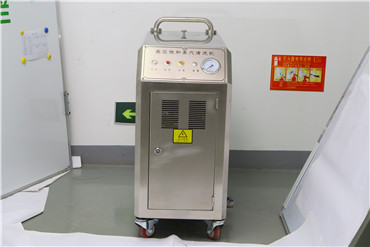 24kw Car Wash Vapor Machine 1Mpa High Pressure Steam Washer