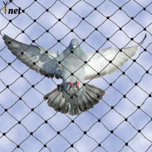 Rot Proof Bird Deterrent Mesh 3/4 Bird Protection Net For Balcony