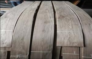 Quality 2.5 - 3.8m Length American Black Walnut Veneer Sheet For Plywood wholesale