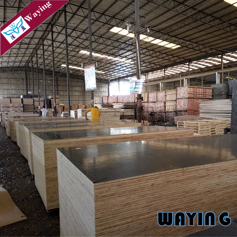 Marine 18mm Eucalyptus Core Film Faced Shuttering Plywood