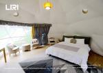 Geodesic Dome Round Glamping Hotel Resort Tents Platform
