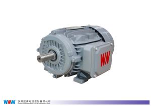 Quality 0.25kw To 350kw Three Phase Induction AC Electrical Low Voltage Motor wholesale