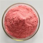 GMP Factory Wholesale Maqui Berry Powder